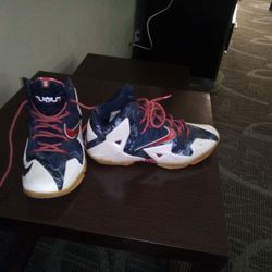Lebron 11 Independence Day