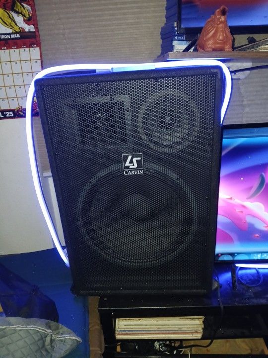 Ls CARWIN 15inch Passive Subwoofers
