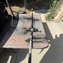 Fishing Pole With Reel Pole New 11ft