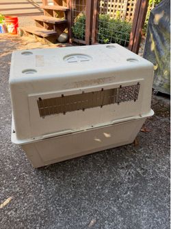 Dog Kennel