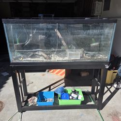 55 Gallon Aquarium/Fish Tank