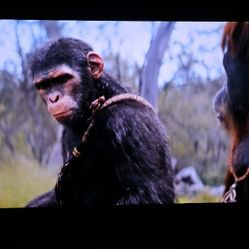 SAMSUNG 77 INCH S95C 4K OLED TV