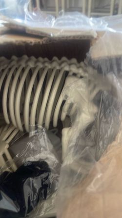 Halloween skeleton