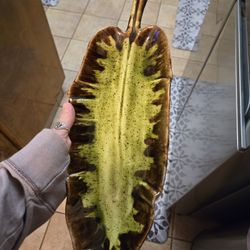 Vintage Ceramic Tabletop Decor Pottery