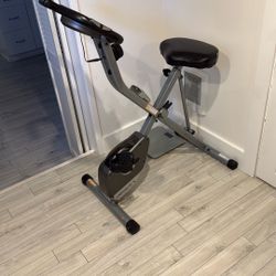 Exerpeutic Therapeutic Fitness Bike