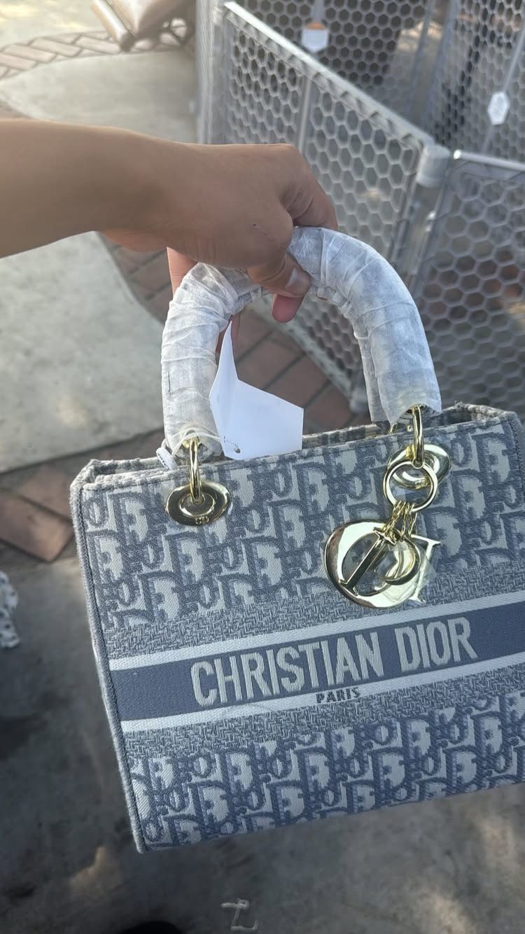 DIOR womens bag