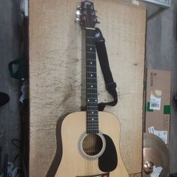 Peavey 6 String Acoustics Guitar