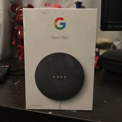 Google Nest Mini
