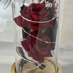 Roses In Glass Dome 