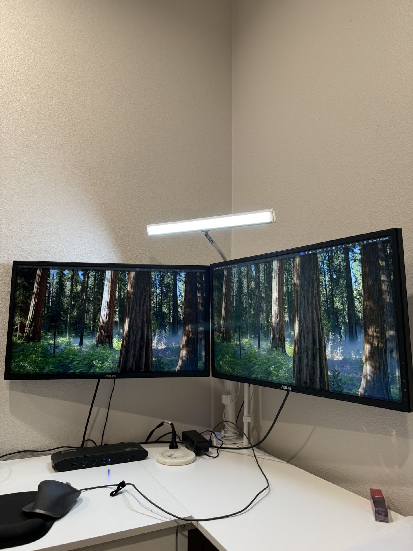 Asus Gaming Monitors Dual 2HD Display