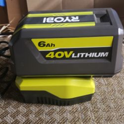 Ryobi 40 Volt 6 Amp Hour Battery And Rapid Charger
