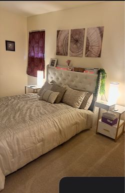 Queen Bed Frame & Mattress