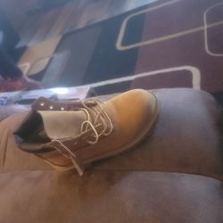 Timberland 