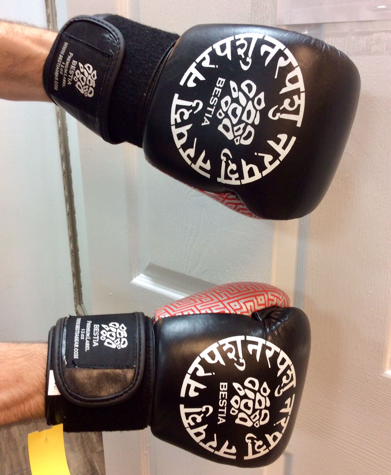 Boxing Gloves Bestia