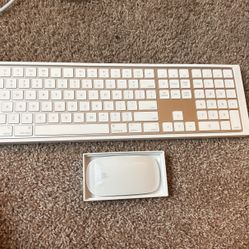 Magic Keyboard And Mouse