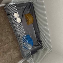 Guinea Pig Cage 