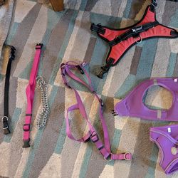 Medium - Large Adjustable Dog Harness