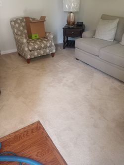 Carpet  Care 