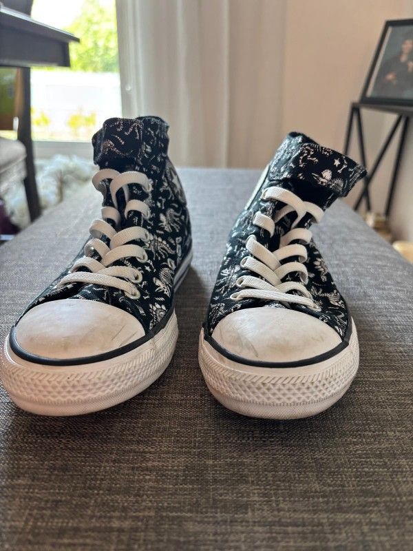 Dino converse.