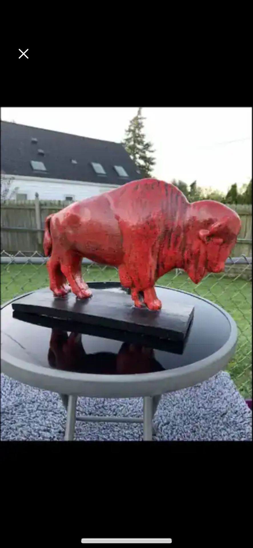 The Red Buffalo
