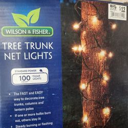 Tree Trunk Cristmas Light.