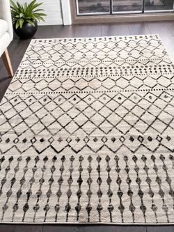 Pisa 6’7x9 Indoor Area Rug