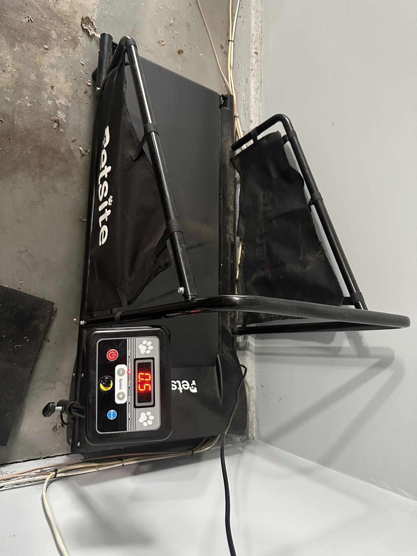 Pet treadmill