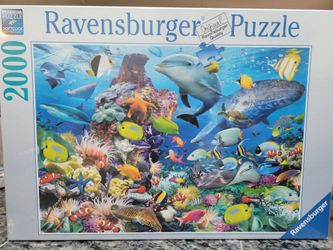 Jigsaw Puzzles - NEW