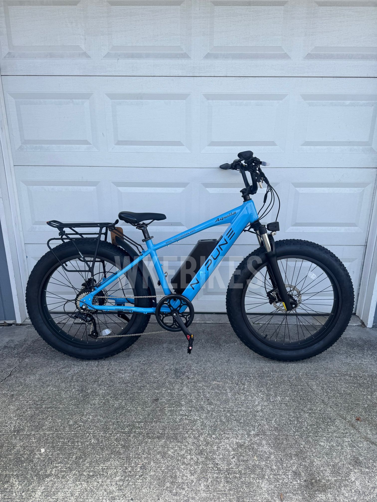 Napune Aquila Fat Tire Electric Bike