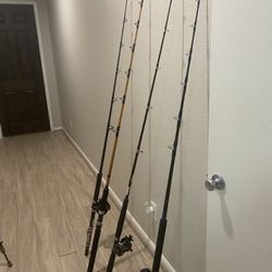 High End Heavy Duty Fishing Rods N Reels 