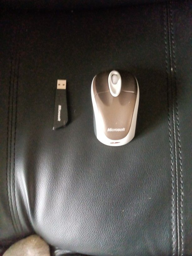 Computer Mouse