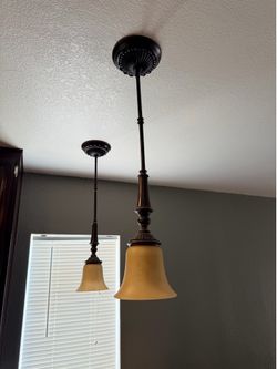 Hanging Pendant Light  (2)