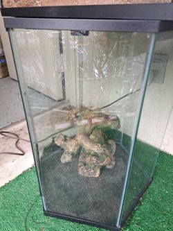 Reptile Glass Tank And Accessories, Lights,)