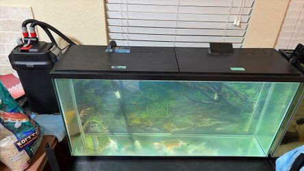 55gal fish tank