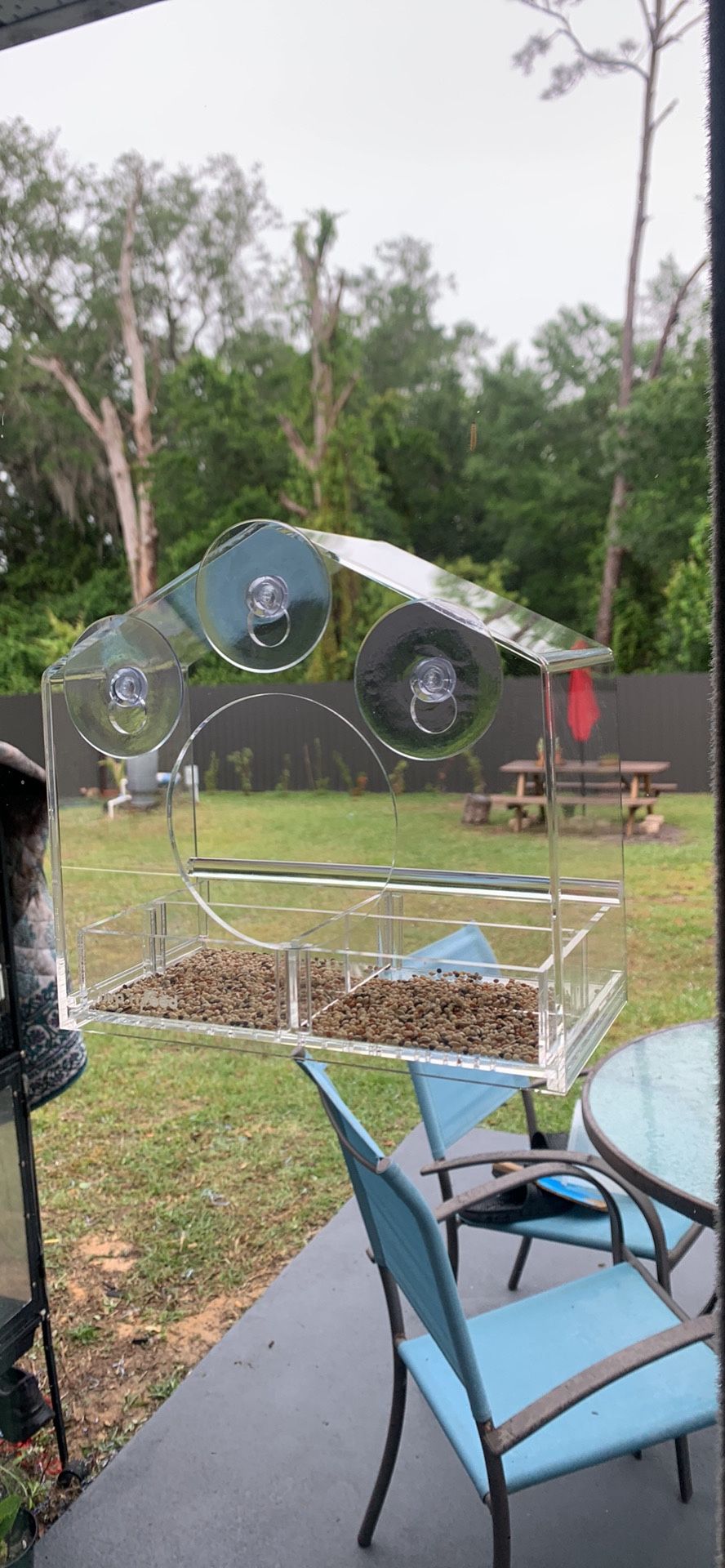 Bird Feeder/comedero