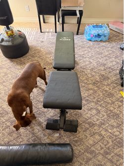 Adjustable weight bench