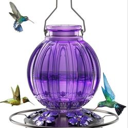Glass Hummingbird Feeder for Outdoors