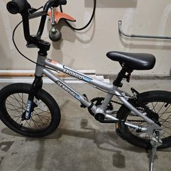SE Bronco Kids BMX  Bike 16inch FREE