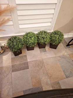 Set Of 4 Boxwood Faux Plants (With Lights)