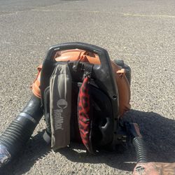 ECHO 216 MPH 517 CFM 58.2cc Gas 2-Stroke Backpack Leaf Blower with Tube Throttle