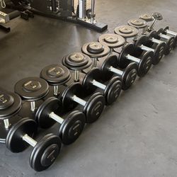 Ivanko Dumbbell Set 5-50 Gym Set Home Gym 