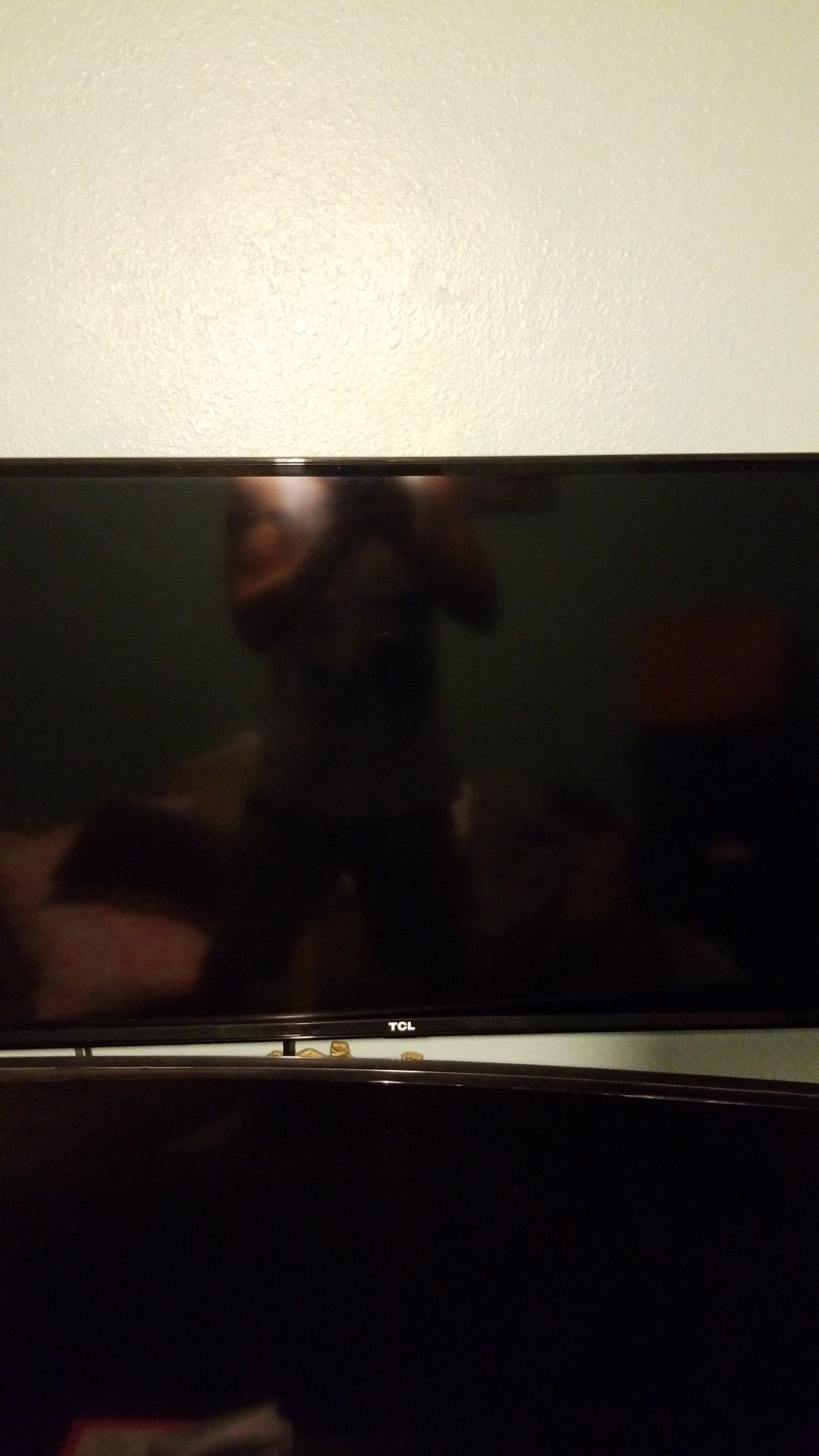 Roku tcl 42 in TV