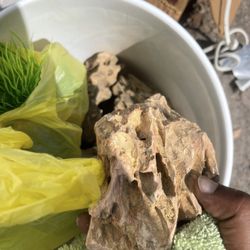 A whole bucket of aquarium things