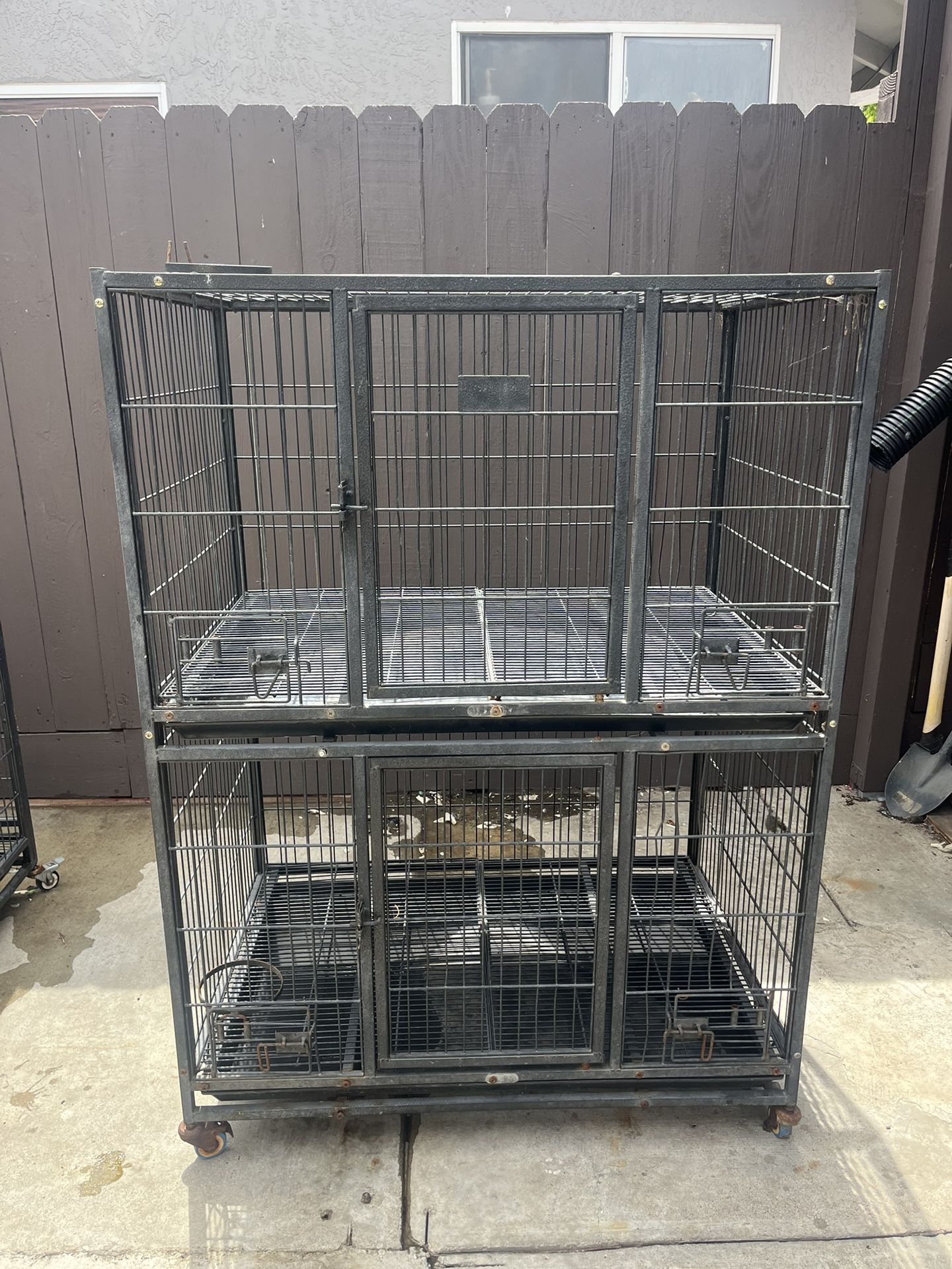 Kennel