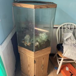 Fish Aquarium