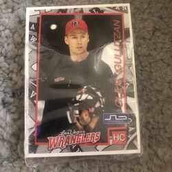 Las Vegas Wranglers Hockey Cards from 2008/2009 season. Complete set.