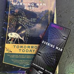 Burning Man 2025 