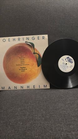 Vynil