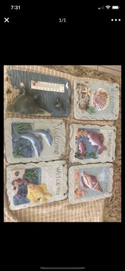 Sea fish’s hanging on the wall