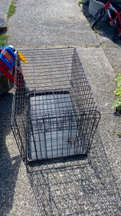 Dog crate size L 30 w 19. Height 19.  Pick up. E.  Side.  Tacoma